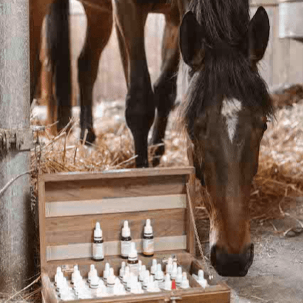 cheval